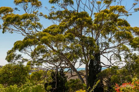 Property photo of 16/8 Westminster Avenue Dee Why NSW 2099