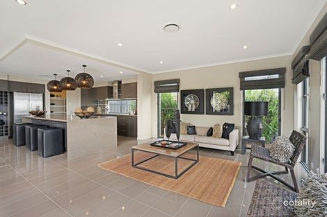 Property photo of 24 Redtail Street Chisholm NSW 2322