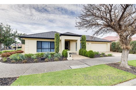 12 Kingfisher Ave, Mawson Lakes, SA 5095