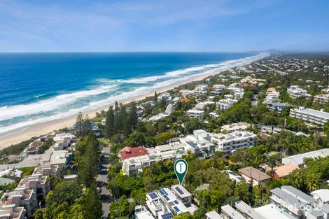 Property photo of 39 Douglas Street Sunshine Beach QLD 4567