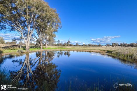 146 Kurtz Lane, Stony Creek, NSW 2850