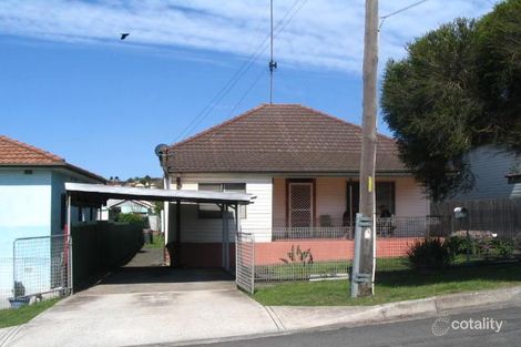 Property photo of 19 Newcastle Street Cringila NSW 2502