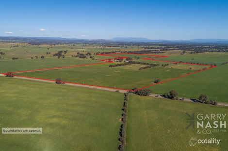 1090 Wangaratta-Eldorado Rd, Londrigan, VIC 3678