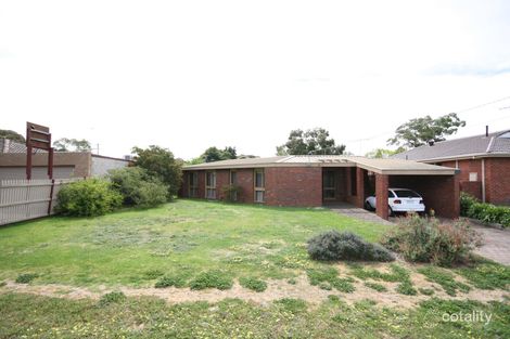 50 Walpole Ave, Belmont, VIC 3216