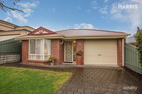 43 Jackaroo Cres, Walkley Heights, SA 5098