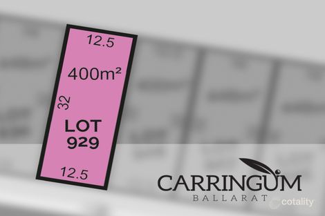 16 Cruz Rd, Winter Valley, VIC 3358