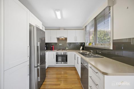 Property photo of 16 Walnut Drive Kilsyth VIC 3137