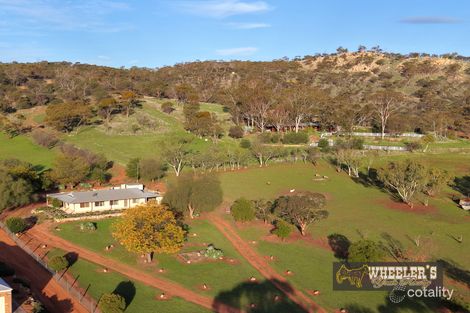 Property photo of 59 Herbert Road York WA 6302