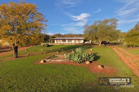 Property photo of 59 Herbert Road York WA 6302
