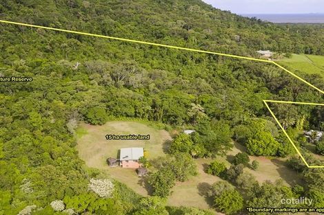 Property photo of 51 Caprioglio Road Conway QLD 4800
