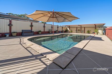 Property photo of 7 Bentley Court Flinders View QLD 4305