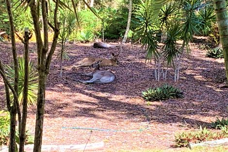 Property photo of 215 Sylvan Drive Moore Park Beach QLD 4670
