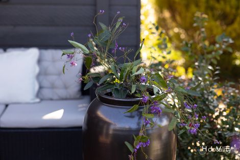 Property photo of 1/30 Bindaga Place Aranda ACT 2614