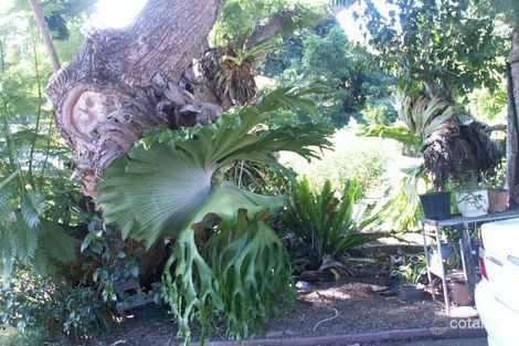 Property photo of 36 Barnby Street Murwillumbah NSW 2484