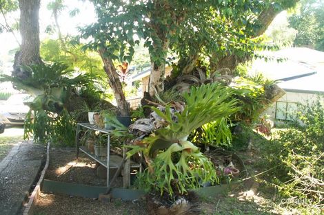 Property photo of 36 Barnby Street Murwillumbah NSW 2484