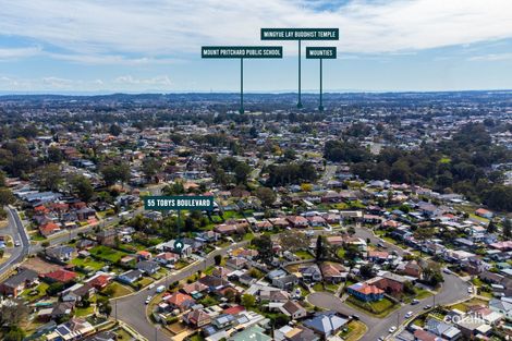 Property photo of 55 Tobys Boulevard Mount Pritchard NSW 2170