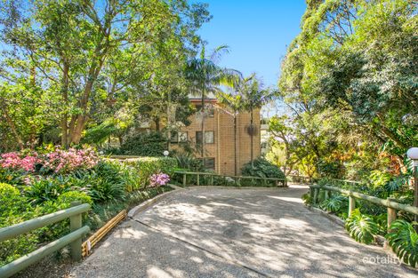 Property photo of 6/24 The Crescent Dee Why NSW 2099