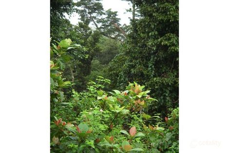 2420 Topaz Rd, Topaz, QLD 4885