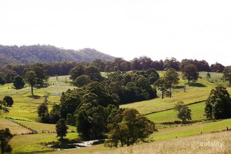 80 Potts Rd, Killabakh, NSW 2429