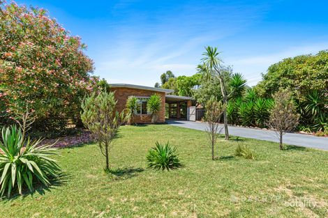Property photo of 53 Potton Avenue Rosebud VIC 3939
