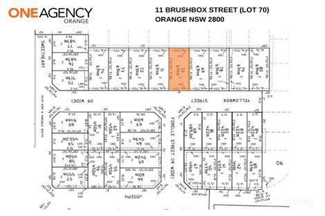 Property photo of 11 Brushbox Street Orange NSW 2800