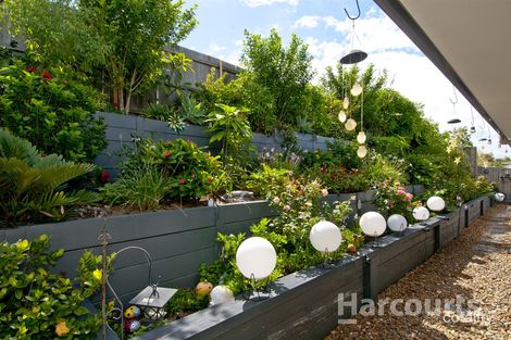 Property photo of 5 Outlook Crescent Flagstone QLD 4280