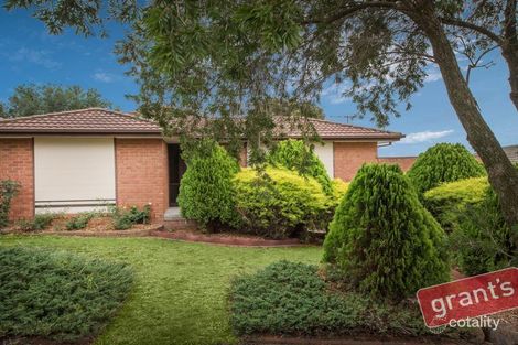 Property photo of 7 Munro Close Hampton Park VIC 3976