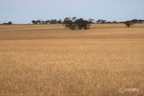 4369 Watheroo Rd, Watheroo, WA 6513