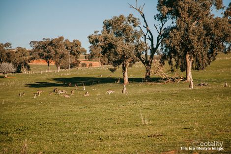 Property photo of 5 Fenner Drive Lloyd NSW 2650