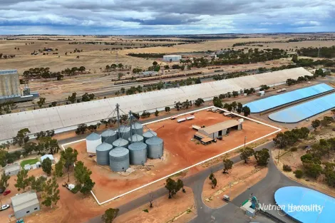 Property photo of 8 Gabo Avenue Merredin WA 6415
