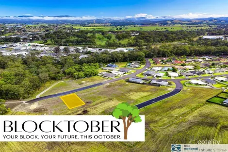 19 Butea Dr, Taree, NSW 2430