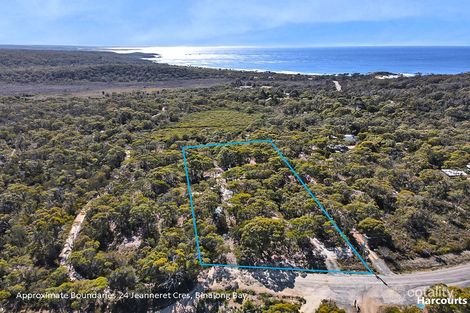 Property photo of 24 Jeanneret Crescent Binalong Bay TAS 7216