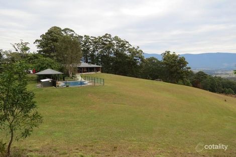 Property photo of 250 Tyalgum Ridge Road Tyalgum NSW 2484