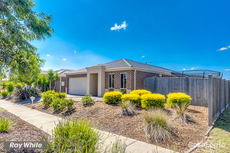 Property photo of 66 Papillon Parade Tarneit VIC 3029
