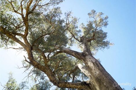 Property photo of LOT 896 Beraking Loop Dalyellup WA 6230