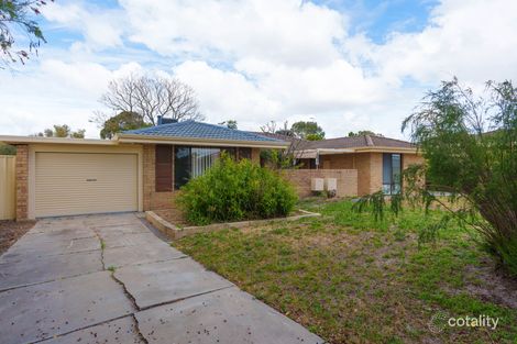 Property photo of 16B Pilkington Circus Beechboro WA 6063