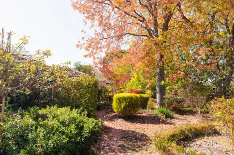 Property photo of 16 Ryan Street Curtin ACT 2605