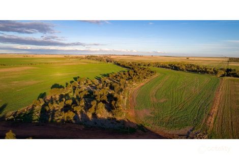 Property photo of 20 Hamley Bridge Road Barabba SA 5460