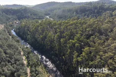 Property photo of 286 Mutual Road Derby TAS 7264