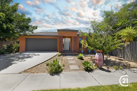 Property photo of 11 Parkes Court Echuca VIC 3564