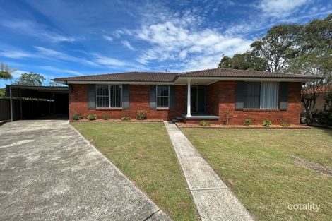 Property photo of 3 Brandon Close Raymond Terrace NSW 2324