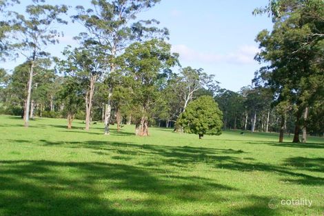 Property photo of 131 Carlyle Road Kundabung NSW 2441