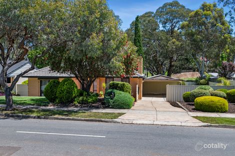 57 Rawlings Rd, Modbury North, SA 5092