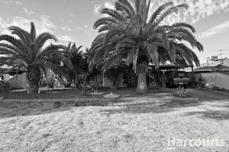 Property photo of 11 Damon Street Singleton WA 6175