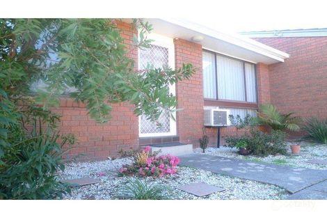 5/607 Prune St, Lavington, NSW 2641