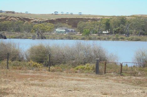 Property photo of 59 Mallee Road Walker Flat SA 5238