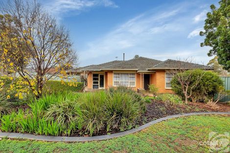 Property photo of 6 Urlwin Avenue Evanston Park SA 5116