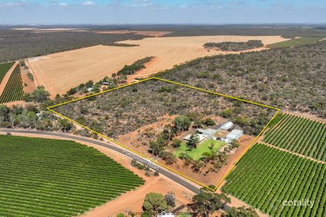 Property photo of 306 Puddletown Road Winkie SA 5343