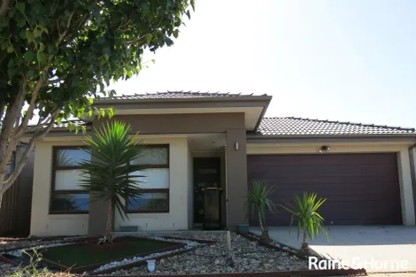 16 Rivoli Cl, Fraser Rise, VIC 3336