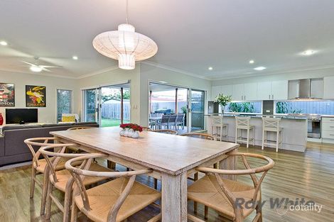 Property photo of 21 Junior Terrace Northgate QLD 4013